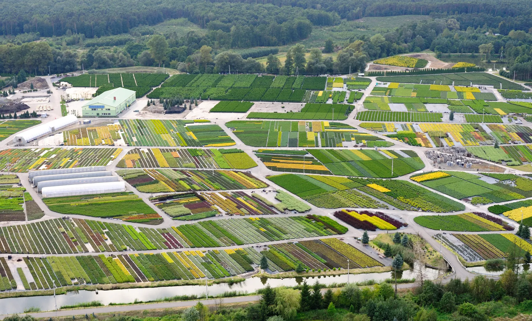 Listnaté stromy v škôlke DĘBSCY